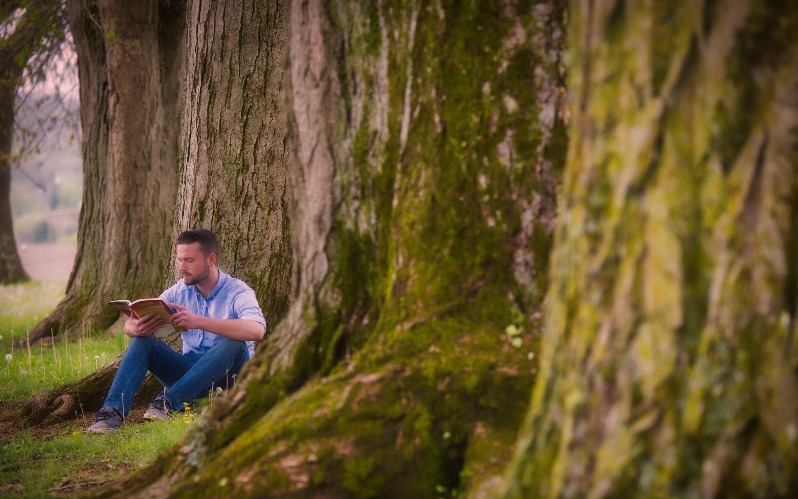 person reading book by large tree